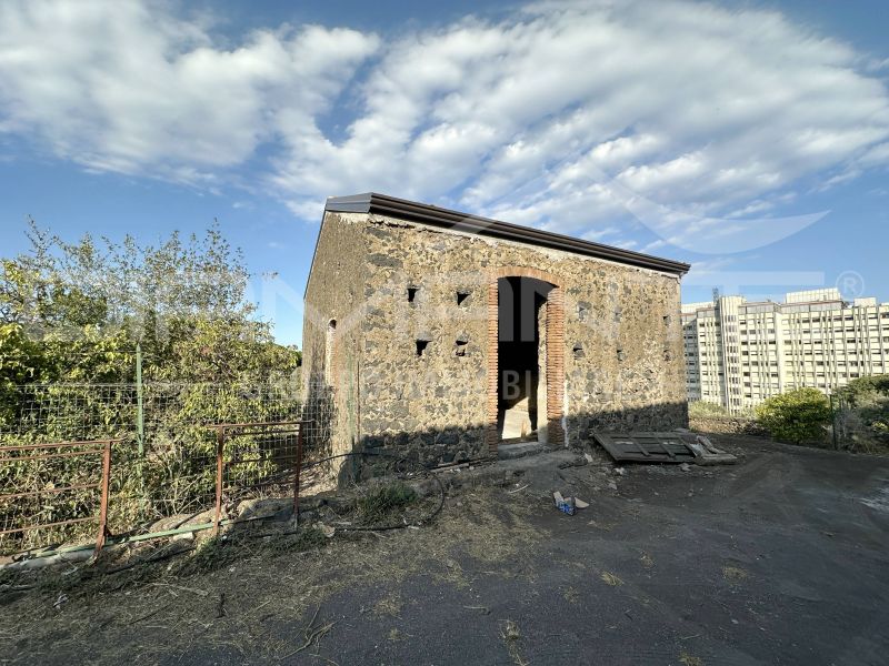 Cerza-Sgroppillo Rustico con...